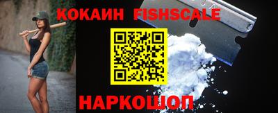 крисы Славгород