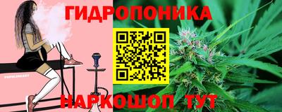 крисы Славгород