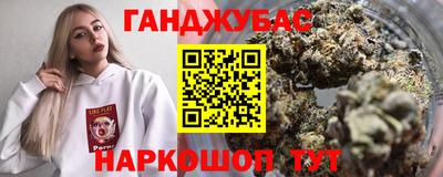 крисы Славгород