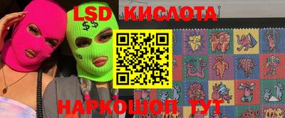 крисы Славгород