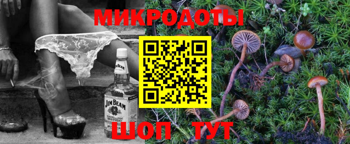 Псилоцибиновые грибы Psilocybine cubensis  Вход с VPN  Ноябрьск 