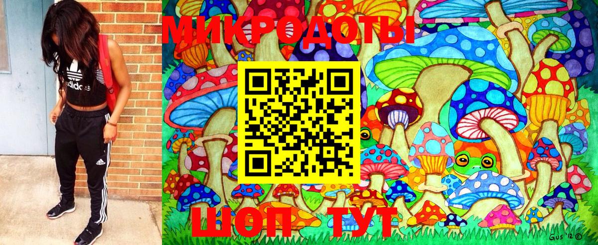 Псилоцибиновые грибы ЛСД Ноябрьск